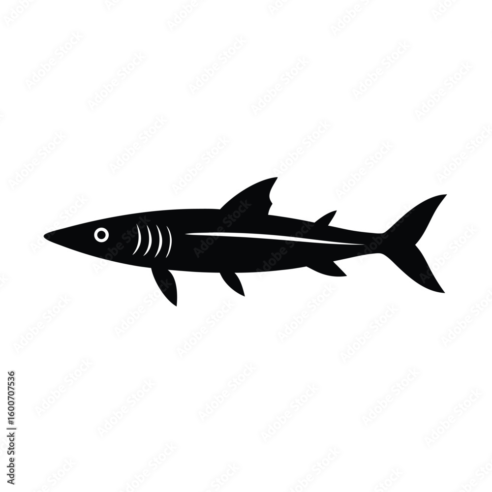 Fototapeta premium Distinctive silhouette of a barracuda