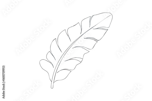Minimalist outline of a banana leaf perfect for adding a tropical touch to any design project or creative endeavor