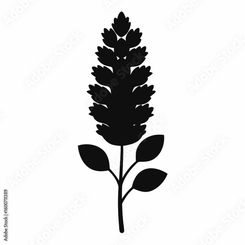 silhouette of a flower