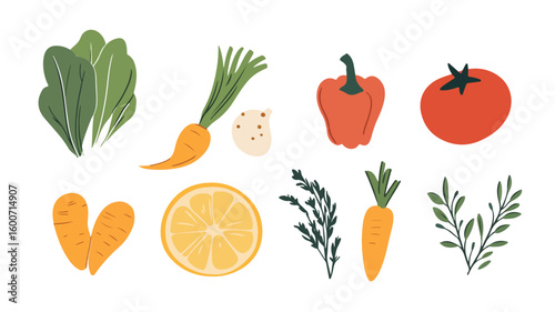 Handdrawn Spices and Vegetables Vector Illustration for Culinary Designs