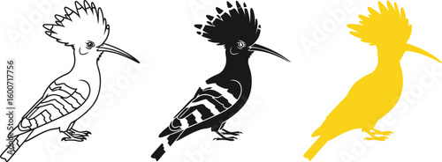 Three stylized hoopoe birds are presented in a row, showcasing different artistic interpretations, including a line drawing, a solid black silhouette, and a vibrant yellow fill.