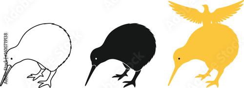 Three kiwi bird illustrations showcase the unique flightless bird in different styles, including a line drawing, a solid black silhouette, and a golden version with a bird on its back.