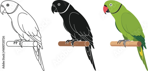Three parrot illustrations showcase a ring-necked parakeet in different styles, including a line drawing, a solid black silhouette, and a vibrant green version perched on a wooden branch.