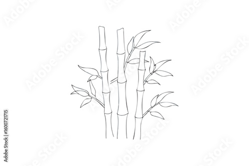 Elegant bamboo stalks and leaves line art illustration perfect for adding a touch of nature to your designs and crafts