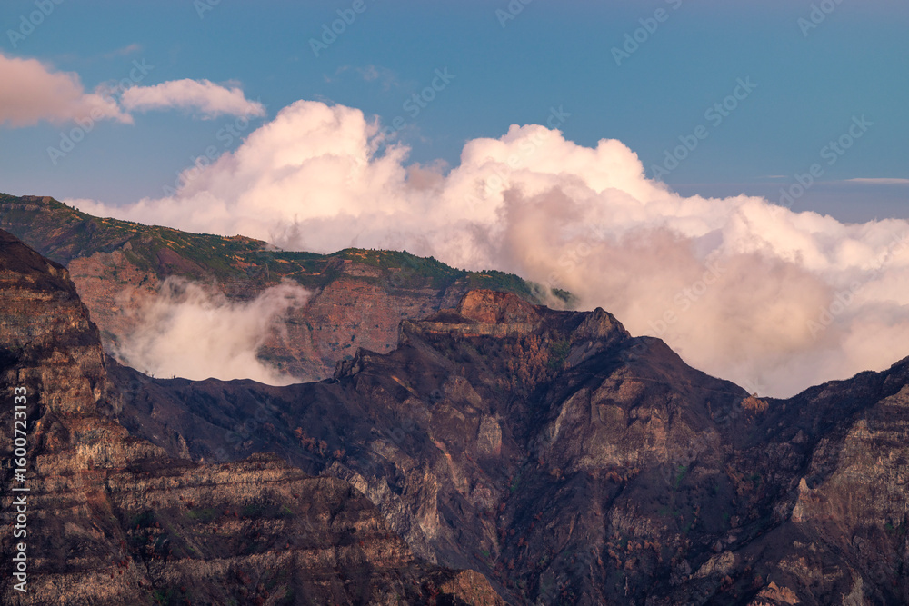 Fototapeta premium Madeira
