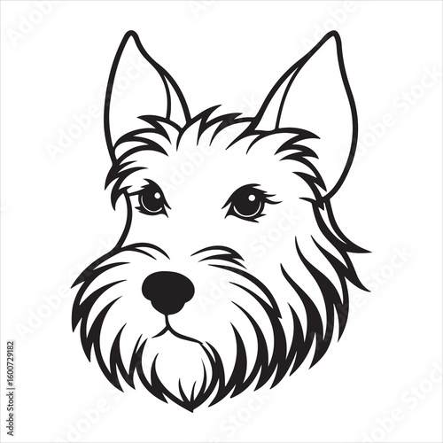 Scottish Terrier Swagger: Capturing the Unique Character of the Scottie Dog