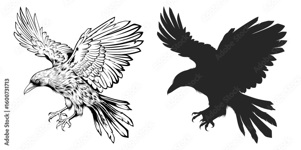 Obraz premium Black crow silhouette vector