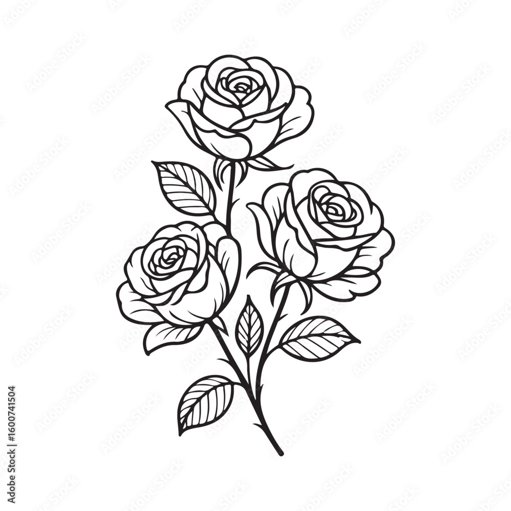 Delicate line art silhouette of three blooming roses with leaves floral botanical Delicate line art silhouette of three blooming roses with leaves floral botanical