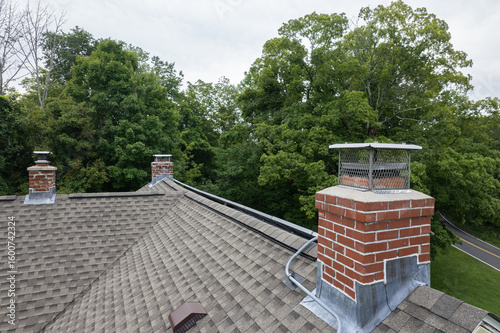 Multiple Brick Chimneys on Shingled Roof with Trees in Background