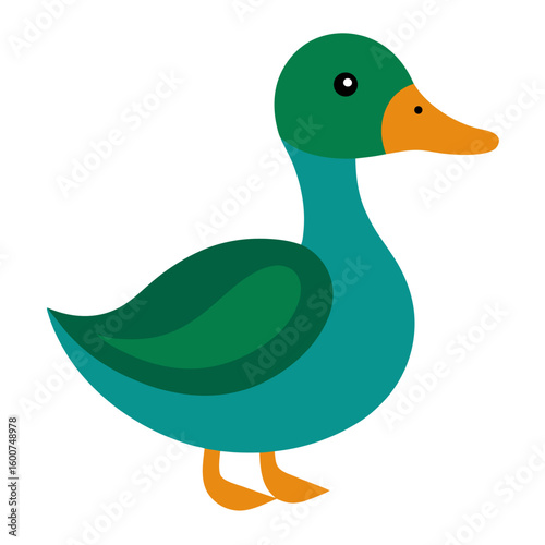 Duck