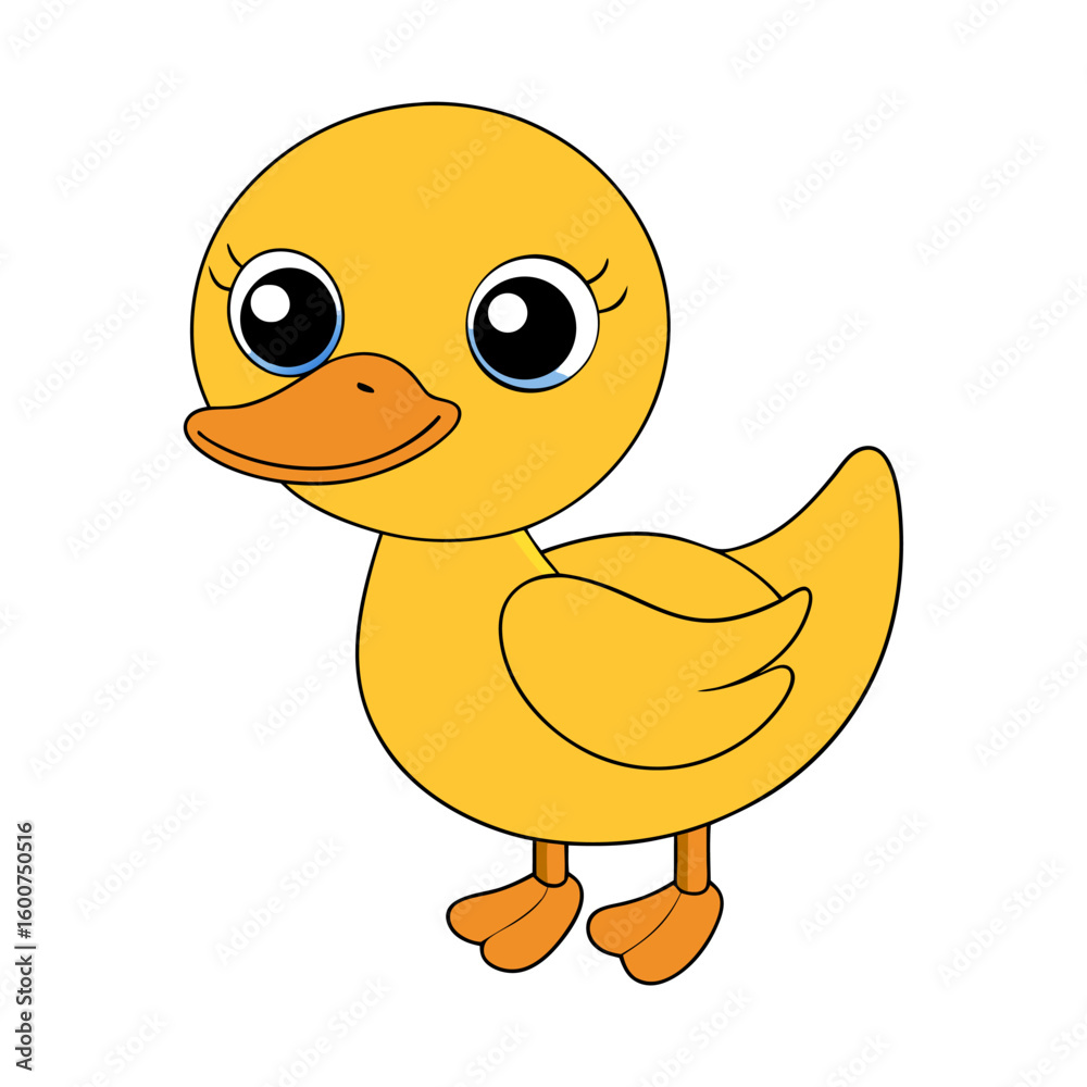 Fototapeta premium Duck