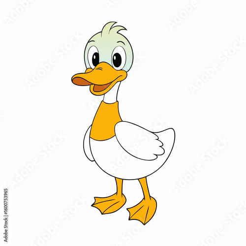 Duck