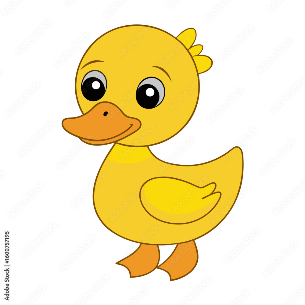 Fototapeta premium Duck