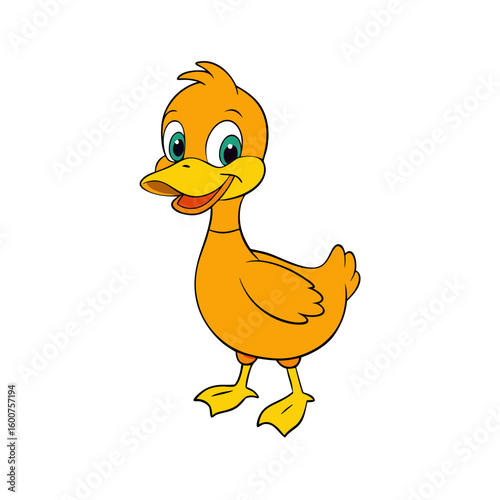 Duck