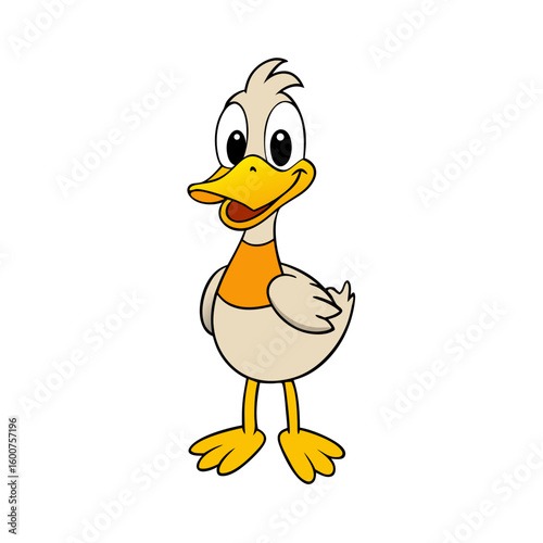 Duck
