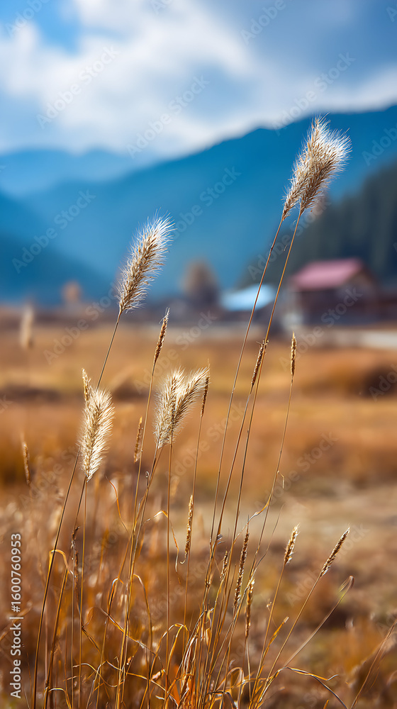 Fototapeta premium Golden Hour Scene with Tall Grasses Swaying Against Mountain Ranges and Dramatic Skies