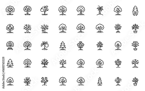 Vector line icon set of trees with roots, branches, leaves, fruit including apple, orange, tropical and evergreen elements, thin linear pictograms, nature illustration, organic design
