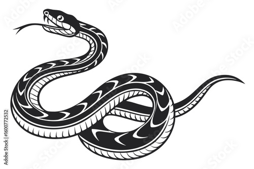 python sihouette black vector