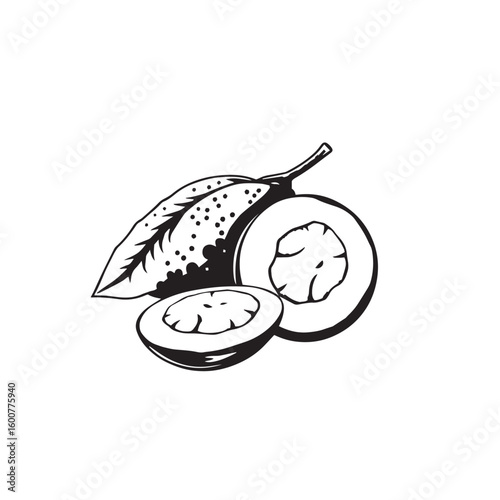 Sapodilla with leaf and slice vector design concept black and white illustration.
