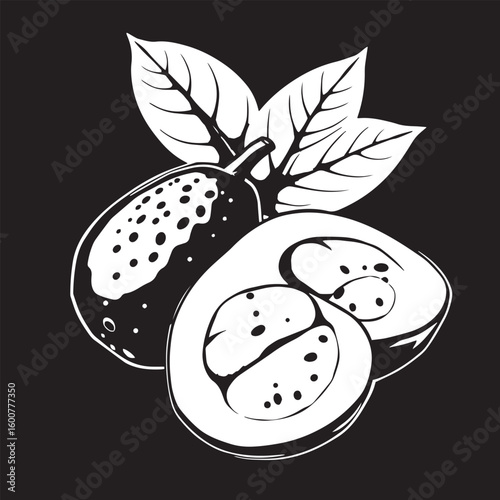 Sapodilla with leaf and slice vector design concept black and white illustration.