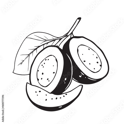 Sapodilla with leaf and slice vector design concept black and white illustration.