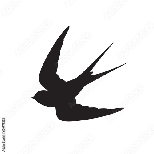 Silhouette of a swift flying bird with forked tail feathers in mid flight isolated on white background