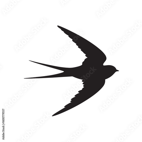 Silhouette of a swift swallow bird in mid flight with wings spread wide isolated on white background