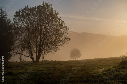 Wallpaper Mural Poranek Torontodigital.ca