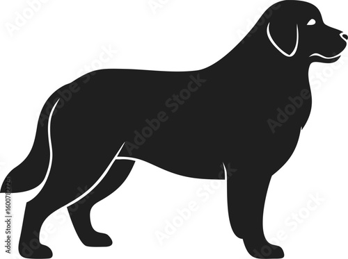 Bernese Mountain Dog silhouette with thick fur, bushy tail, and sturdy build in standing pose