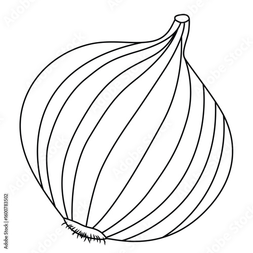 Cute cartoon hand drawn vector onion outline.