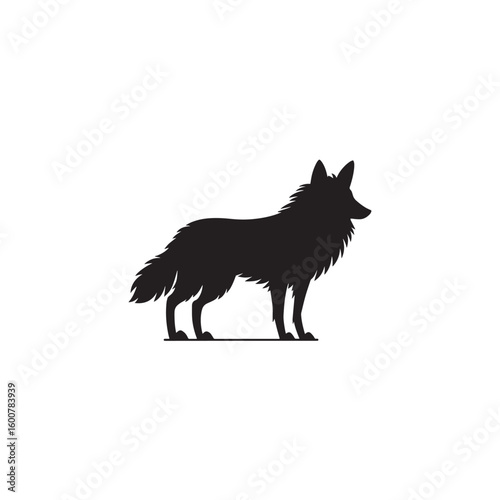 Silhouette of a standing wild dog or wolf with a bushy tail isolated on white background