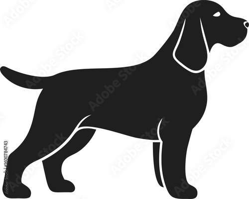 English Springer Spaniel dog silhouette with long ears, athletic build, and feathered tail in alert stance