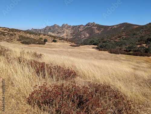Pinnacles National Park park in the fall as the grass has turned brown due to the change in seasons and lack of water. 
