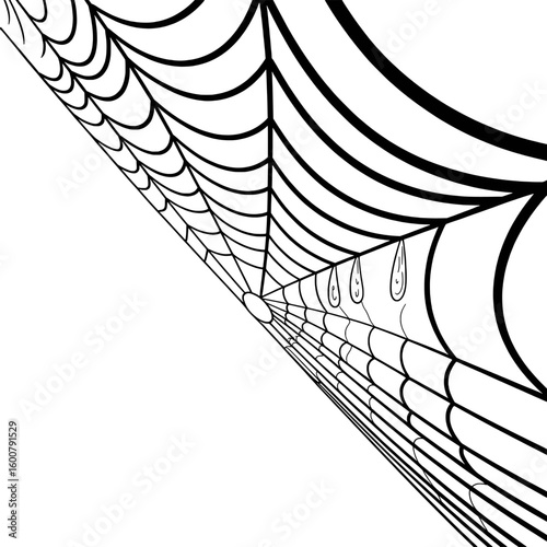 Black spider web with dew drops against a white background spiderweb