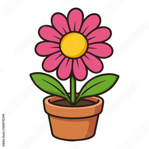 flower in pot