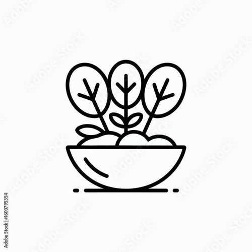 Spinach plant growing in a bowl isolated on white background