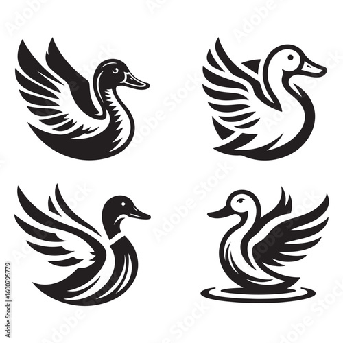 Four stylized black and white duck illustrations with wings spread in different poses