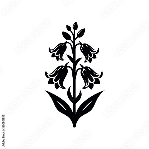 Elegant black silhouette of a blooming bellflower plant with detailed petals and leaves