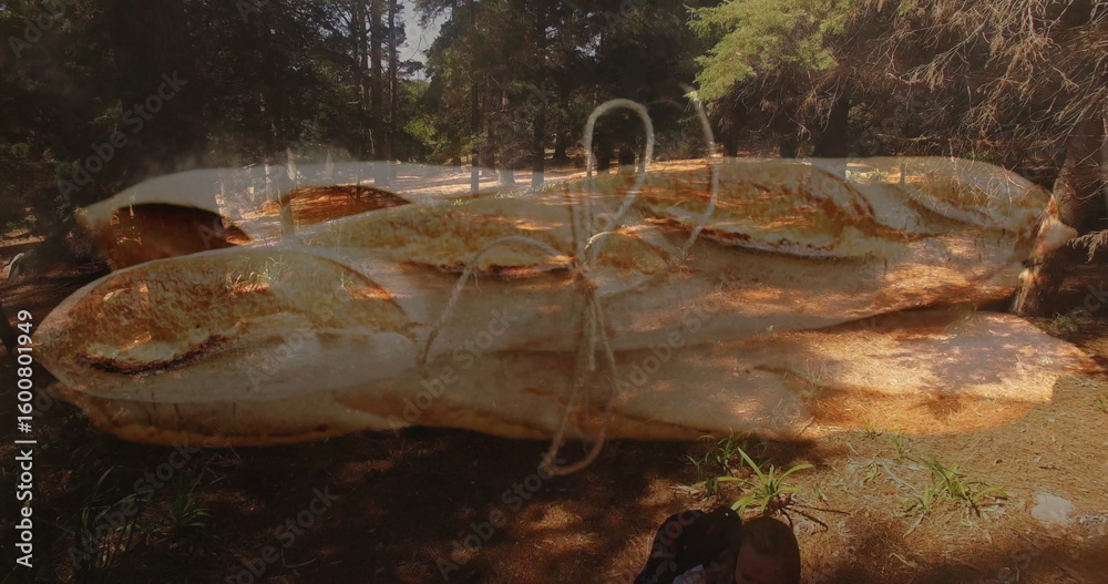 Naklejka premium Hanging tied baguette loaves over pine forest clearing, showcasing dreamlike woodland contrast