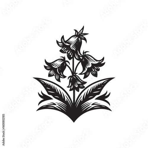 Elegant vintage black and white illustration of bell shaped flowers with detailed leaves and ornate flourishes