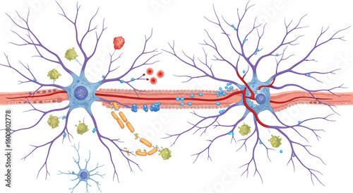 Detailed neural network diagram with synapses and neurons in a flat design