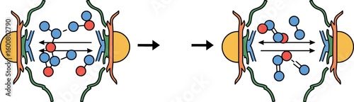 Molecular symmetry in colorful abstract style with directional arrows