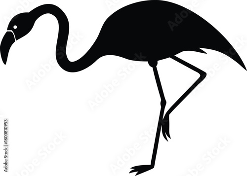 Black Silhouette of a Flamingo Standing on Two Legs Isolated on White Background