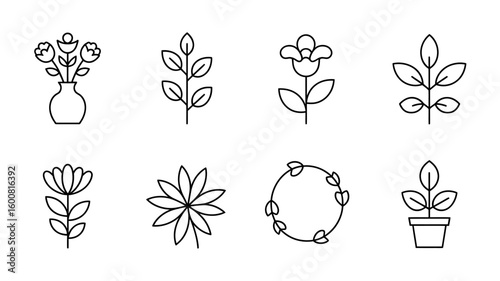 Collection of botanical line art illustrations with flower arrangements and plant designs featuring minimalist floral elements for creative projects
