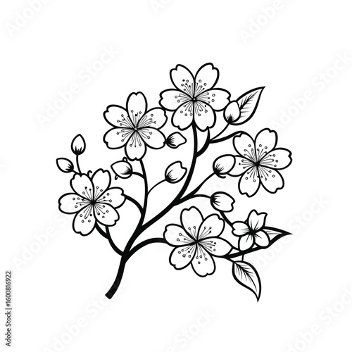 Cherry Blossom Branch Line Art – Floral Spring Outline

