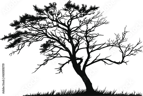 A lone black bare tree silhouette vector against the sky, perfect for a winter nature or forest landscape illustration