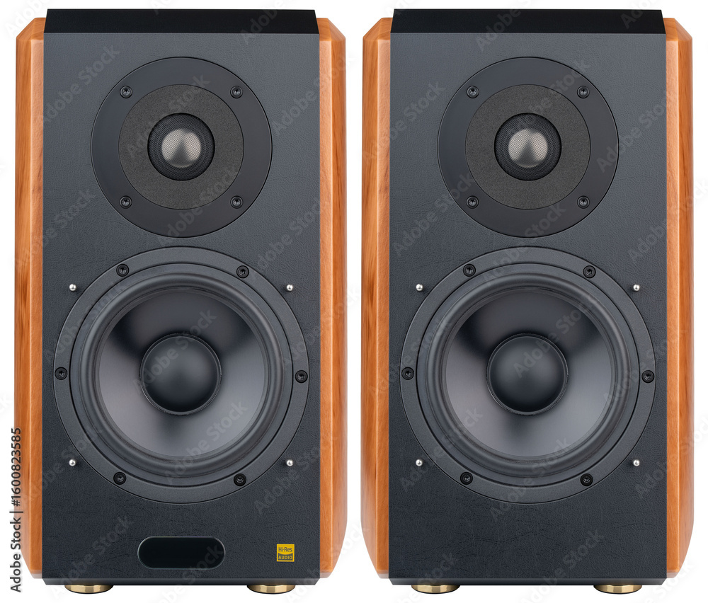 Speakers. Audiophile active bookshelf speakers. Hi-Res speakers with bluetooth aptX HD and Optical Input. Powered Near Field monitor speaker Class D Amp. Professional music speakers for listening song Speakers. Audiophile active bookshelf speakers. Hi-Res speakers with bluetooth aptX HD and Optical Input. Powered Near Field monitor speaker Class D Amp. Professional music speakers for listening song