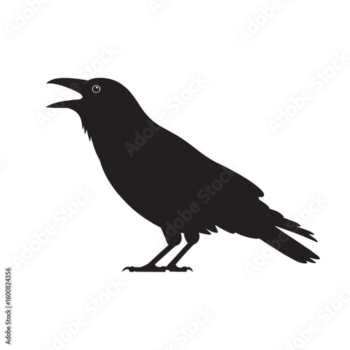 Silhouette of a black crow with its beak open and wings slightly spread isolated on white background