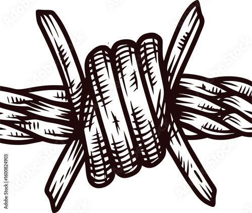 Hand drawn barbed wire knot close up illustration in vintage engraving on white background