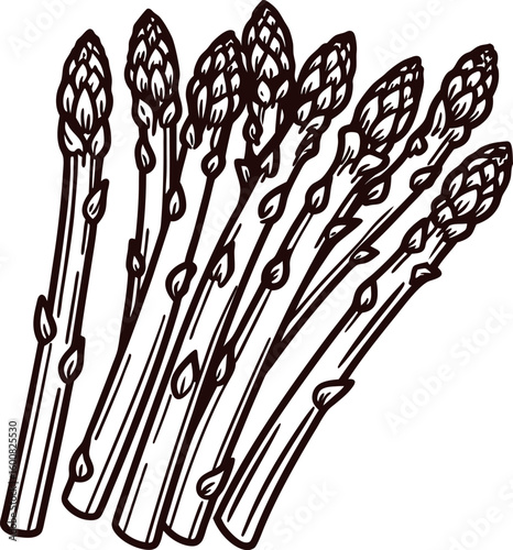 black and white asparagus stalks clip art preview
